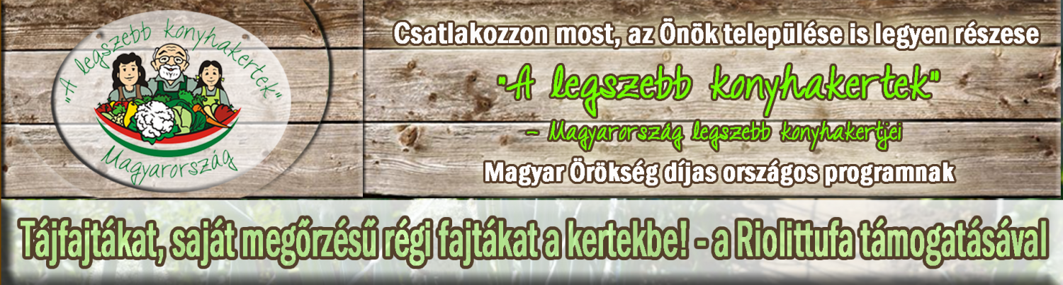 21+ Bródy János Második Felesége PNG