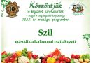 Szil – Győr-Moson-Sopron megye ötödik 2022. évi csatlakozó települése