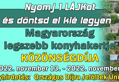 KÖZÖNSÉGDÍJ SZAVAZÁS