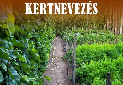 Konyhakert, gyümölcsös, fűszer- és gyógynövény Kertnevezés