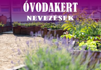 Óvodakertek Nevezése
