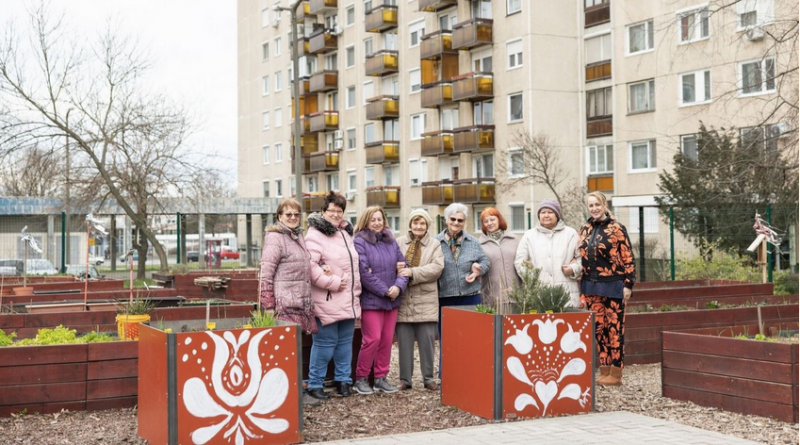 Debrecen – Fűszerláda, sziklakert, gyümölcsök – Debrecenben is népszerű a közösségi kert