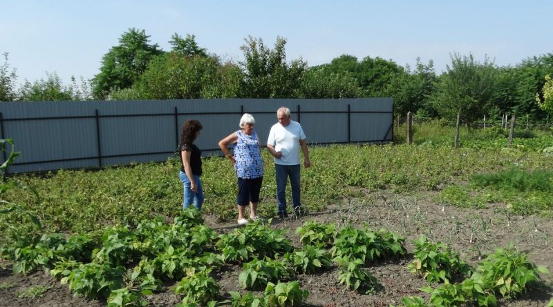 Battonya – A legszebb konyhakerteket keresik Battonyán idén is