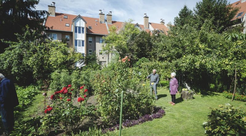 Eger – Újra versenyezhetnek konyhakertjeikkel az egriek