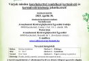 Kecskemét – Idén is versenybe szállhatnak a kecskemétiek a legszebb konyhakert címért