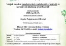 Gyula – A legszebb konyhakertek – Magyarország legszebb konyhakertjei
