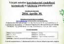 Újbuda – „A legszebb konyhakertek” pályázat