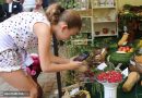 Kiskunhalas – Kertbarát-kiállítás, díjátadóval (galéria)
