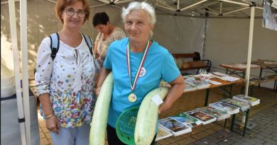 Kisújszállás – Kivilágos kivirradtig tartott a kisújszállási fesztivál – galériával