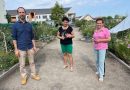 Kecskemét – Ezek lettek idén Kecskemét legszebb konyhakertjei – fotók