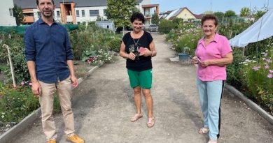 Kecskemét – Ezek lettek idén Kecskemét legszebb konyhakertjei – fotók