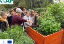 Debrecen – Országos elismerést nyert a Vénkerti Közösségi Kert