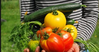 Gyula – Idén is keresik a legszebb konyhakerteket Gyulán