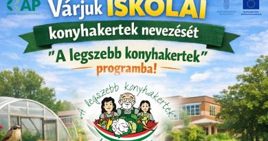 Iskolai Kertnevezés