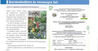 Diósd – Kertnevezés