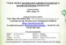 Mezőkeresztes -Csatlakoztunk “A legszebb konyhakertek”  programhoz