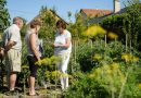 Hatvan – Virágos udvarokat és példás konyhakerteket keresnek idén is Hatvanban