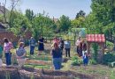 Szurdokpüspöki  – Igazi csoda ez a nógrádi óvoda! Különleges módon nevelik a természet szeretetére a legkisebbeket
